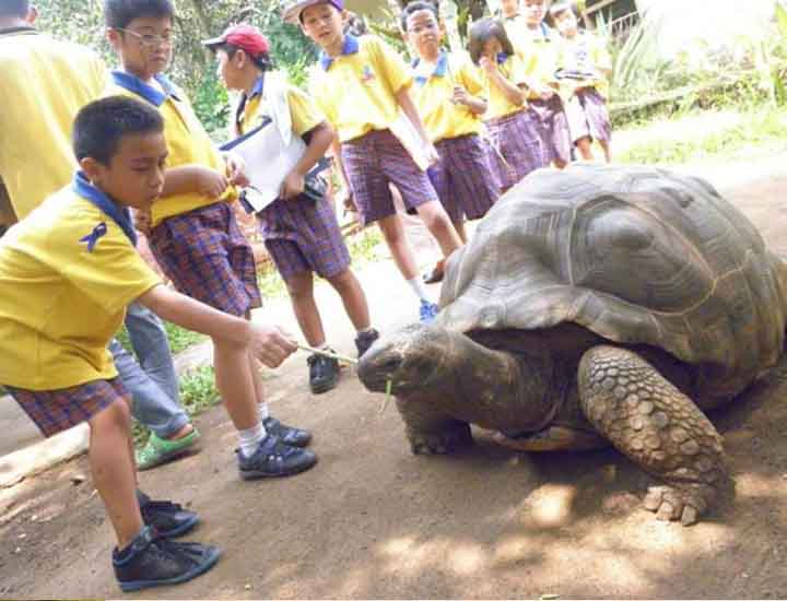 galeri ksatria bangsa